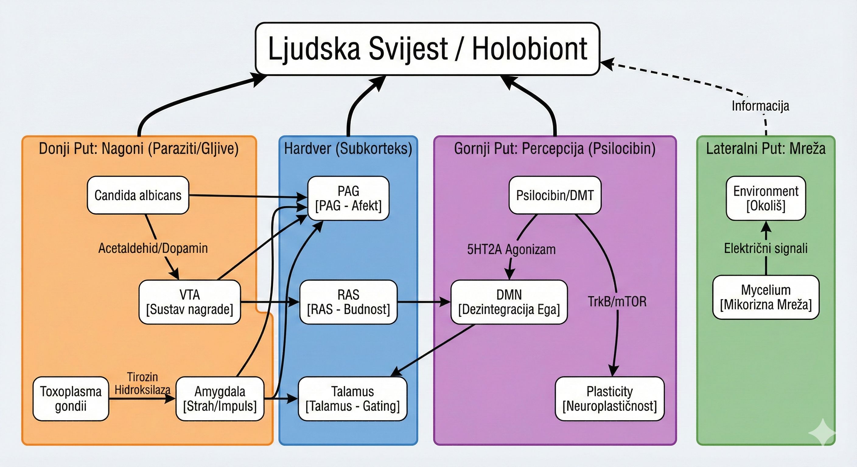 Neuroekološki Model